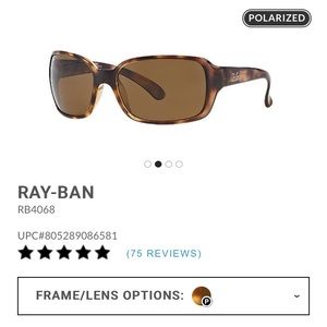 Polarized Ray Bans